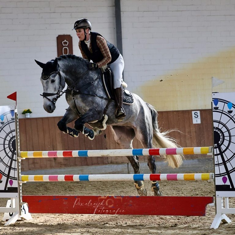 Dreimalvierhufe - Reitsport